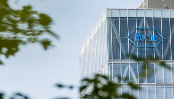 Ankara Roche Ofis Projesi